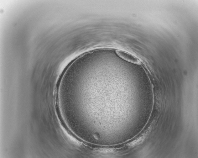 X0000086981519200704231806