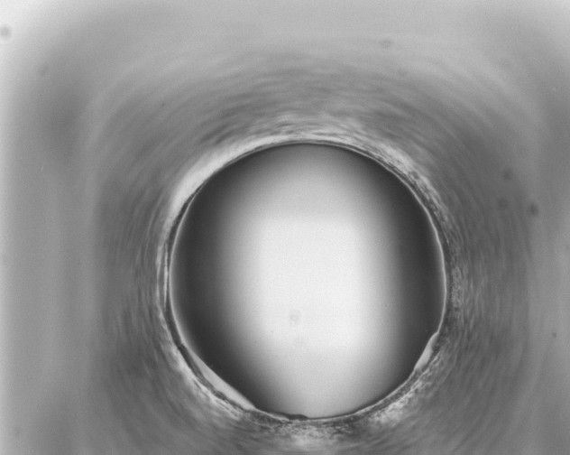 X0000086981520200704231806