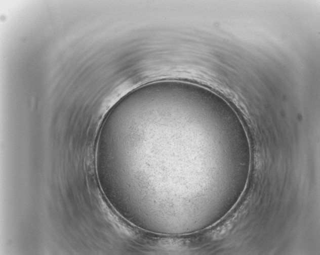 X0000086981521200704231806