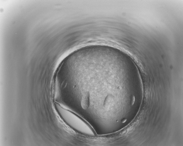 X0000086981522200704231806