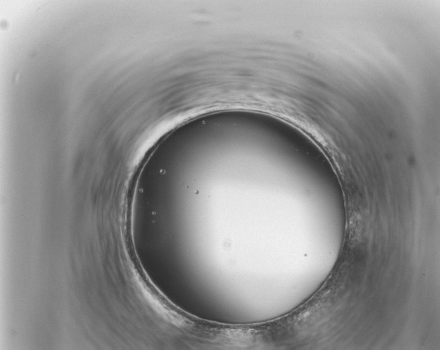 X0000086981523200704231806