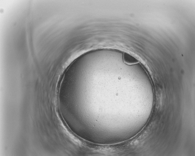 X0000086981525200704231807