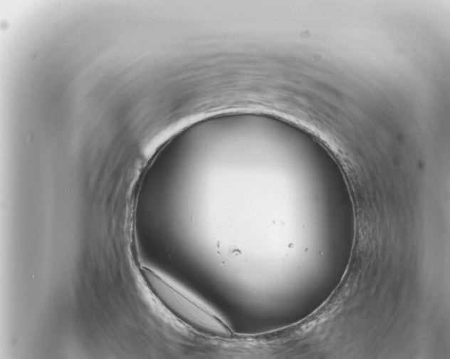 X0000086981526200704231807