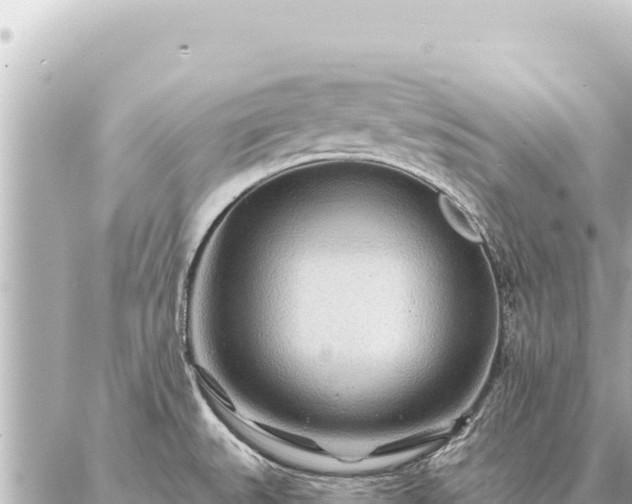 X0000086981527200704231807