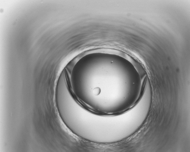 X0000086981528200704231807