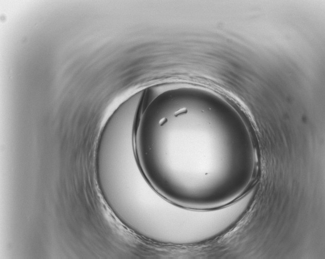 X0000086981530200704231807