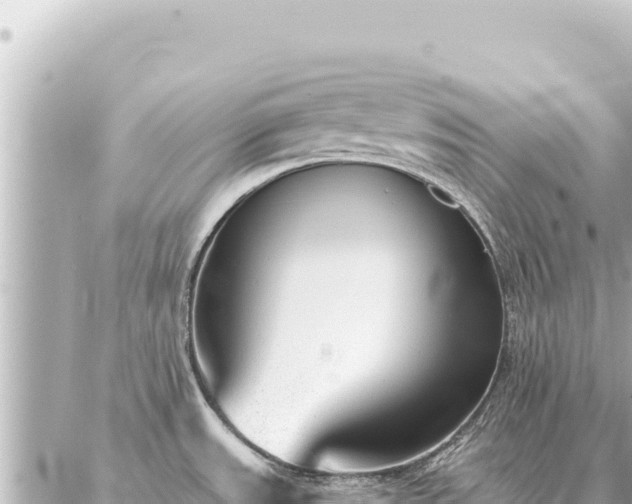 X0000086981531200704231807