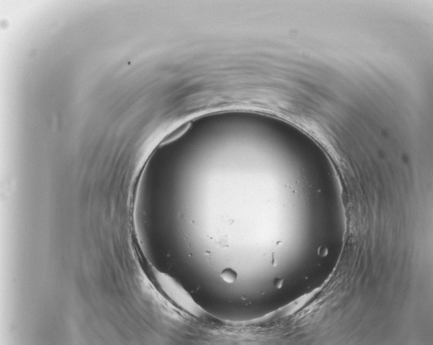 X0000086981532200704231807