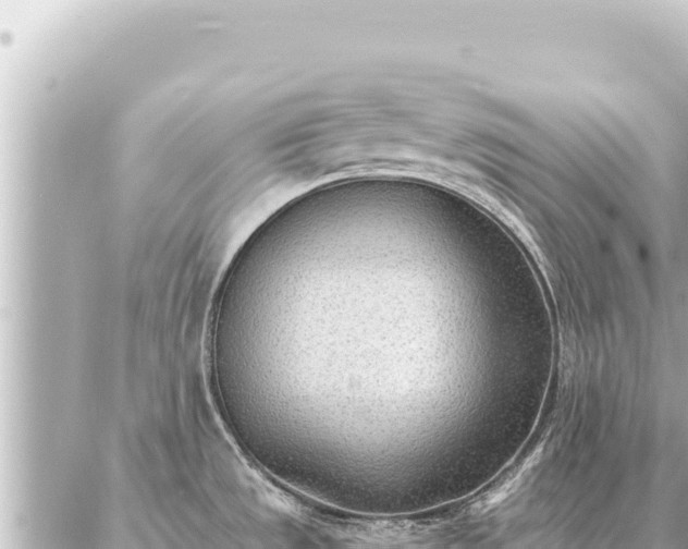 X0000086981533200704231807