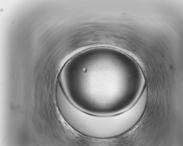 X0000086981534200704231807