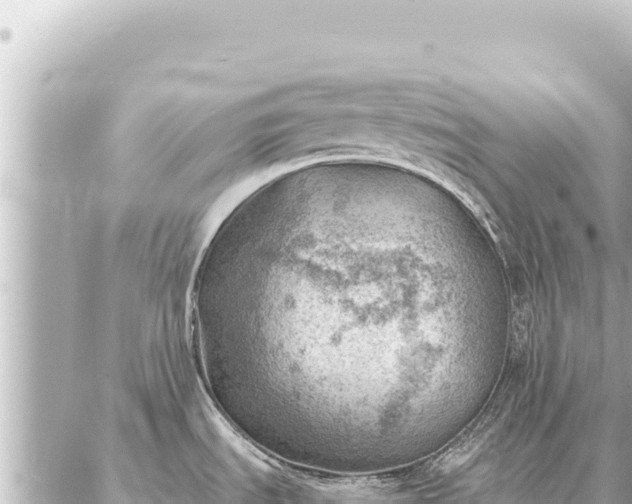 X0000086981535200704231807