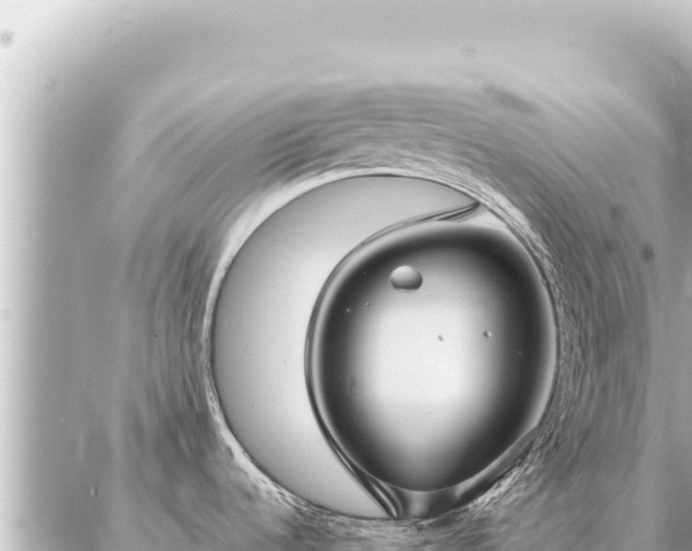 X0000086981536200704231807