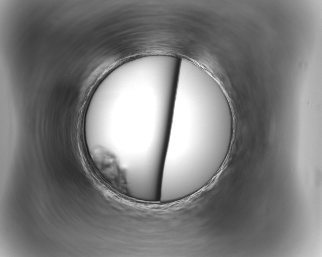 X0000086980001200704301327