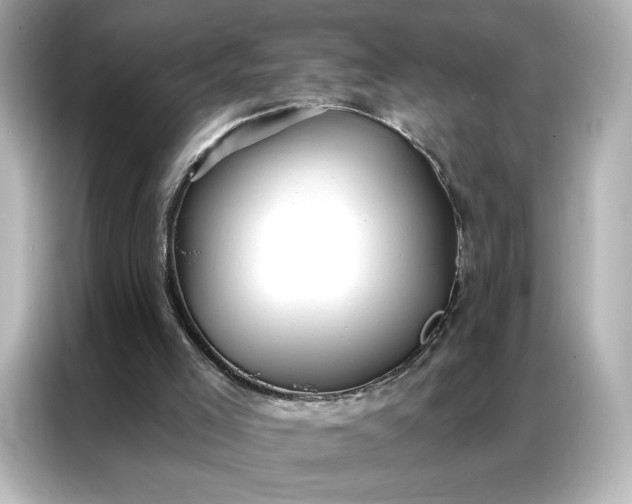 X0000086980005200704301327