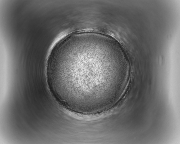 X0000086980006200704301327