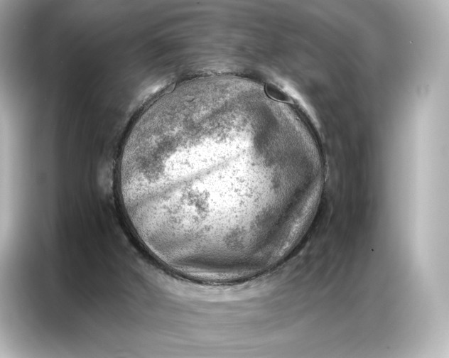 X0000086980010200704301327