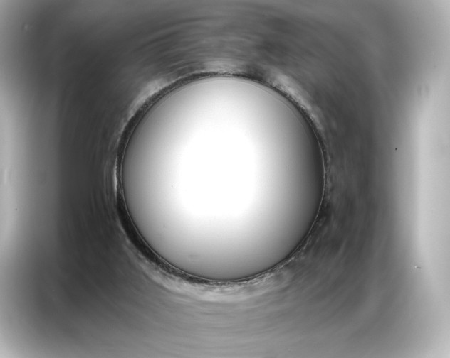 X0000086980011200704301327