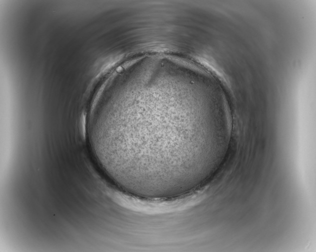 X0000086980014200704301327