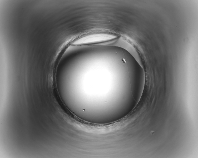 X0000086980015200704301327