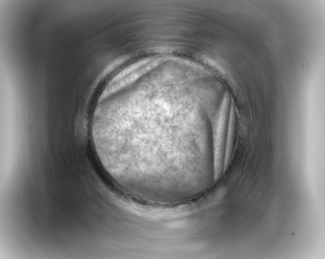 X0000086980016200704301327