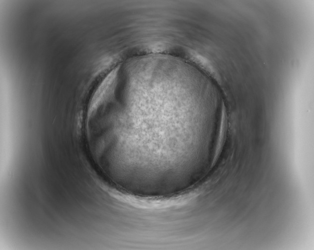 X0000086980018200704301327