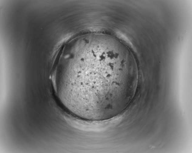 X0000086980019200704301327