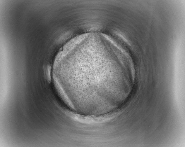 X0000086980022200704301327