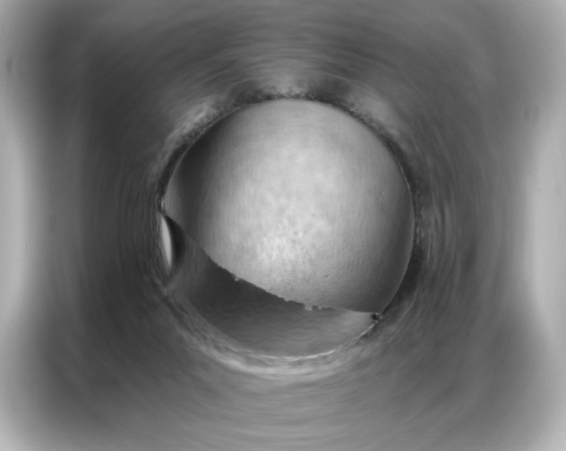 X0000086980023200704301326