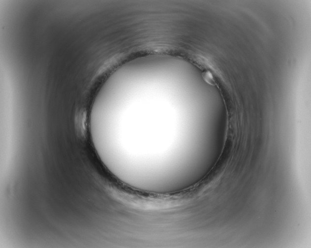 X0000086980024200704301326