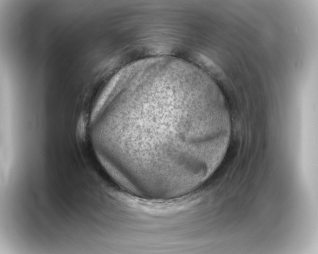 X0000086980026200704301326