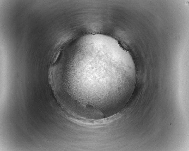 X0000086980027200704301326