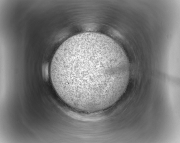 X0000086980028200704301326