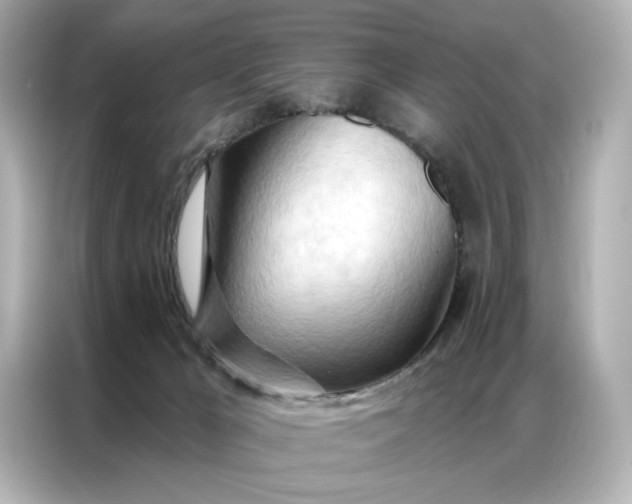 X0000086980029200704301326