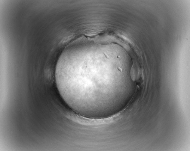 X0000086980031200704301326