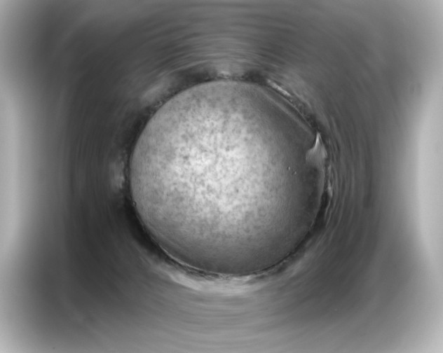 X0000086980032200704301326