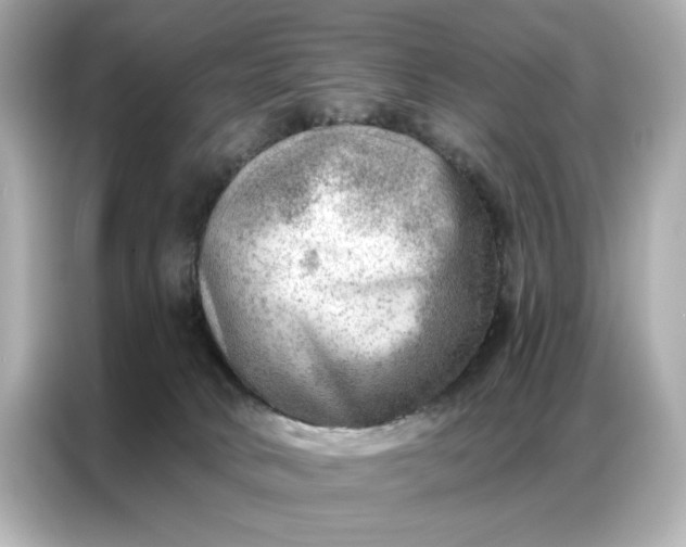 X0000086980034200704301326