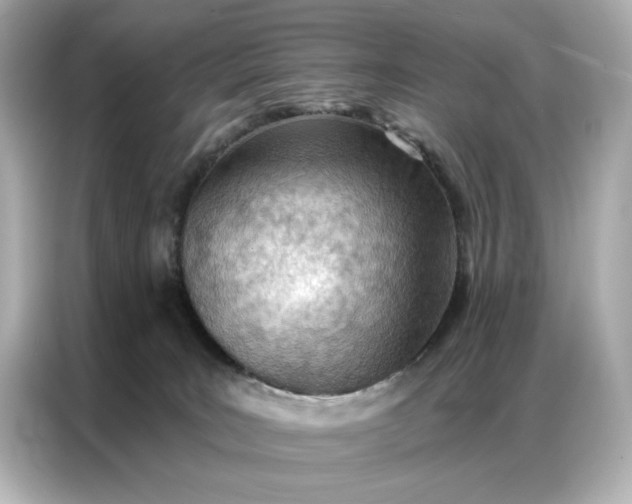 X0000086980035200704301326