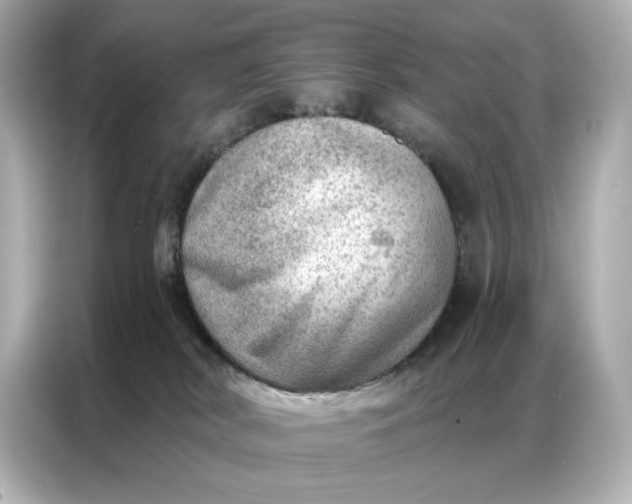 X0000086980038200704301326