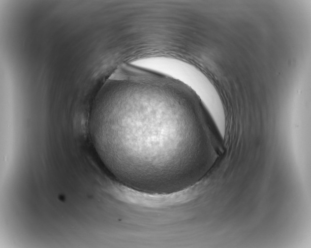 X0000086980039200704301326