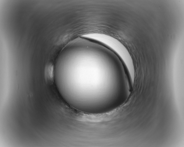 X0000086980041200704301326