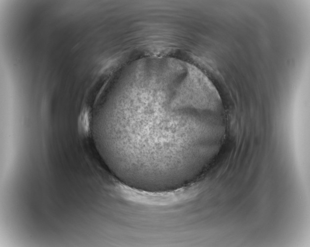 X0000086980042200704301326