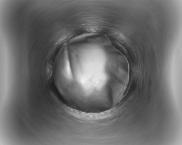 X0000086980043200704301326