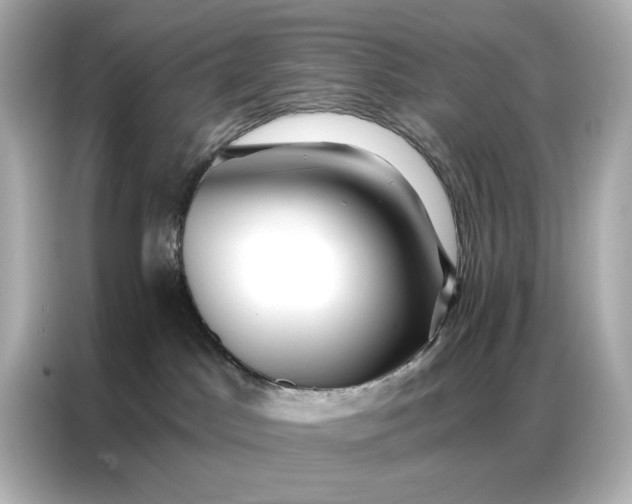 X0000086980045200704301326