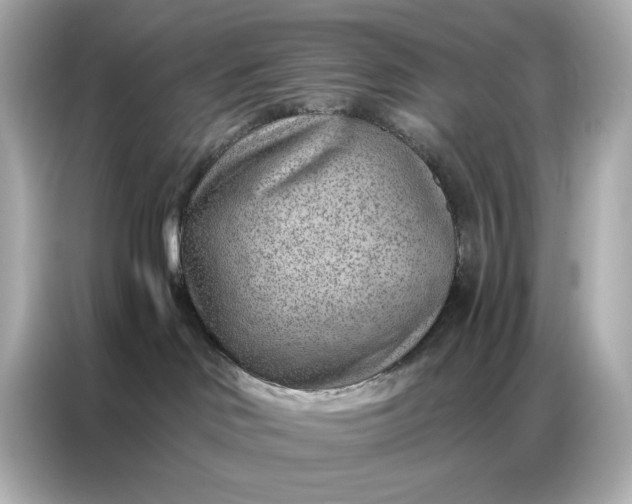 X0000086980046200704301326