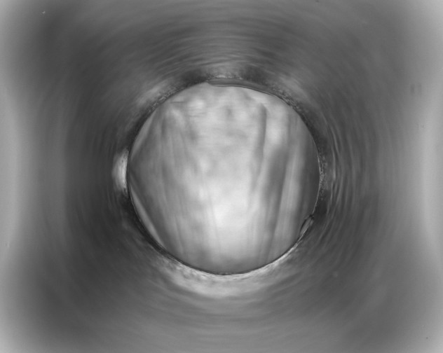 X0000086980047200704301326