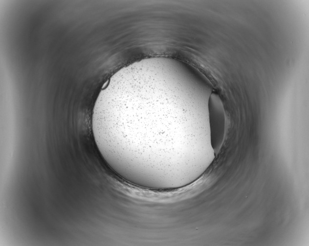 X0000086980048200704301326