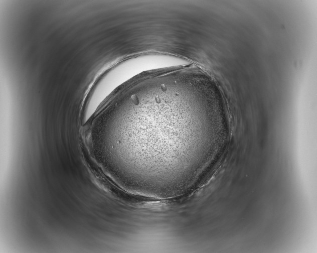 X0000086980050200704301326