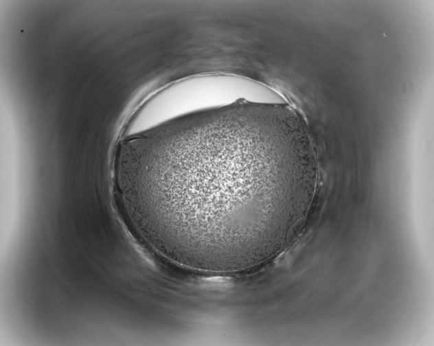 X0000086980053200704301326