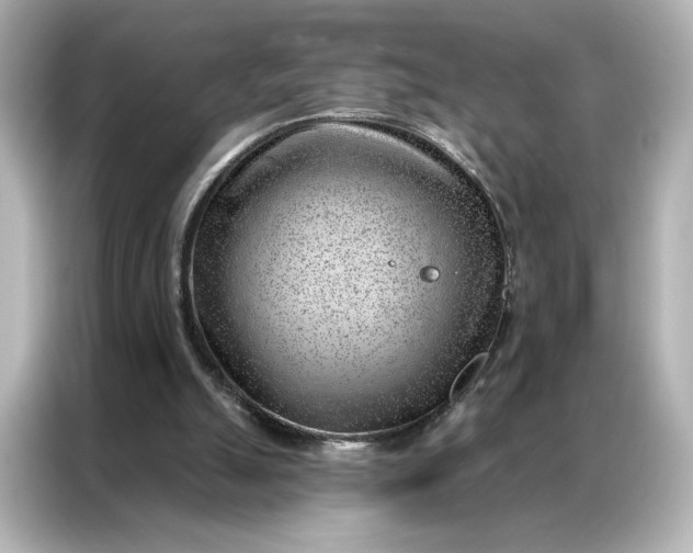 X0000086980055200704301326