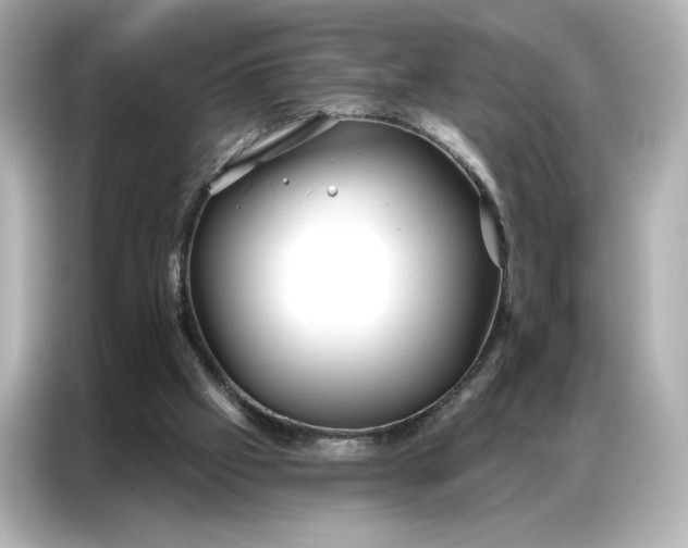 X0000086980057200704301326